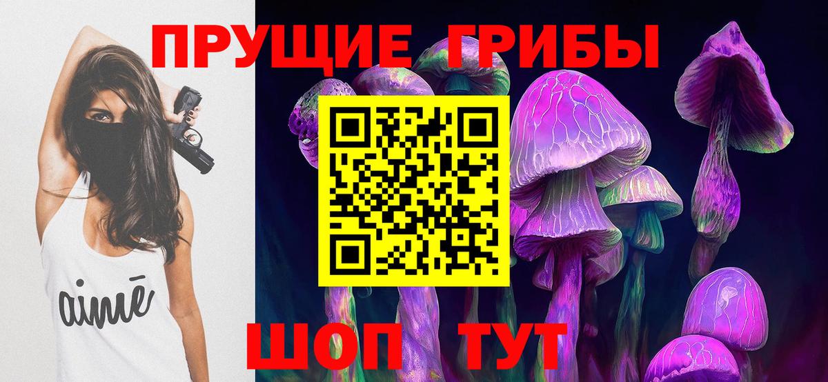 Осинники  Псилоцибиновые грибы Cubensis  Вход с VPN 